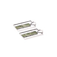 Load image into Gallery viewer, Green Door Earrings