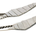 Load image into Gallery viewer, Wind Wave Earrings