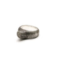 Load image into Gallery viewer, Wondrous Horn Ring